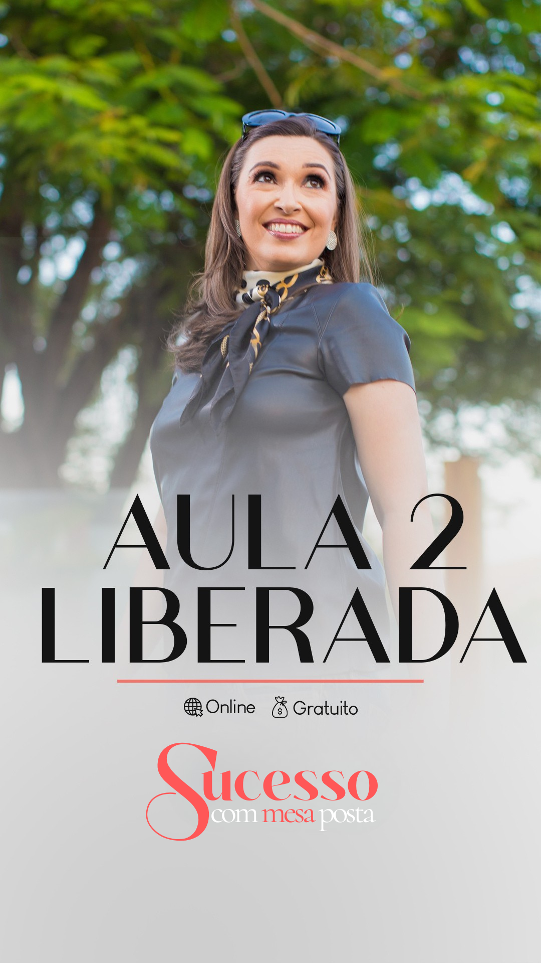 Aula 2 — O que toda profissional precisa saber